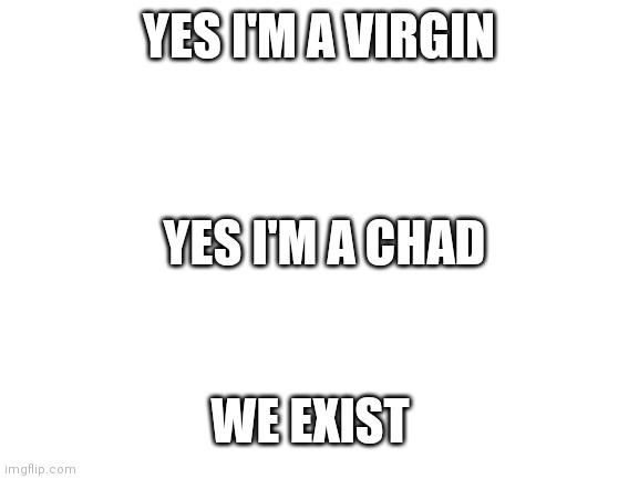 Blank White Template | YES I'M A VIRGIN; YES I'M A CHAD; WE EXIST | image tagged in blank white template | made w/ Imgflip meme maker