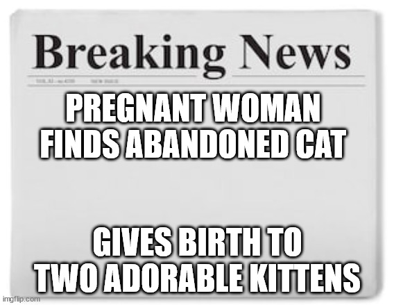 newspaper | PREGNANT WOMAN FINDS ABANDONED CAT; GIVES BIRTH TO TWO ADORABLE KITTENS | image tagged in breaking news | made w/ Imgflip meme maker