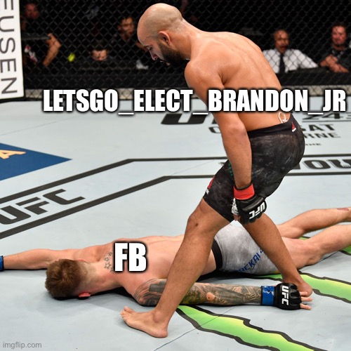 K.O. Knock out | LETSGO_ELECT_BRANDON_JR FB | image tagged in k o knock out | made w/ Imgflip meme maker