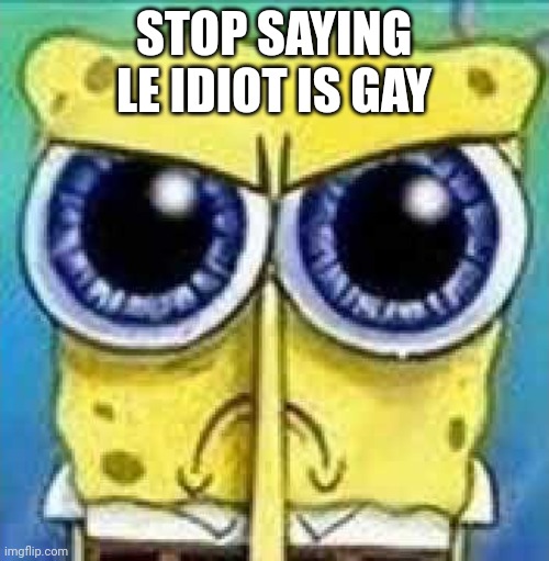 Angry Spunch Bop | STOP SAYING LE IDIOT IS GAY | image tagged in angry spunch bop | made w/ Imgflip meme maker