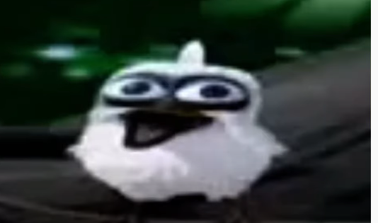 High Quality bird screaming Blank Meme Template