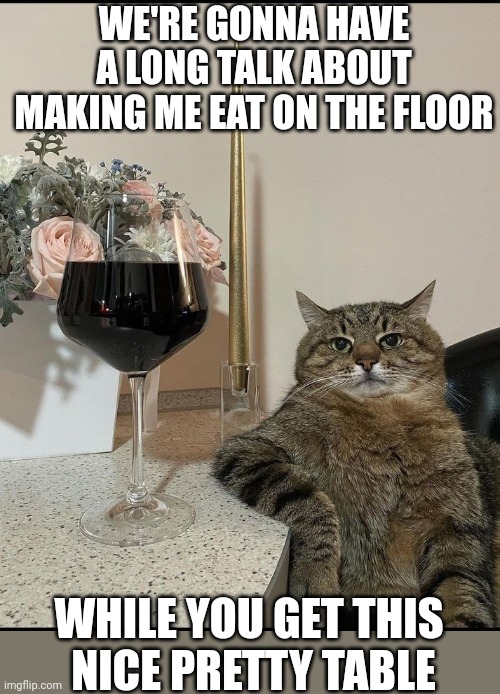 KITTY IS DISAPPOINTED | WE'RE GONNA HAVE A LONG TALK ABOUT MAKING ME EAT ON THE FLOOR; WHILE YOU GET THIS
 NICE PRETTY TABLE | image tagged in cats,funny cats | made w/ Imgflip meme maker