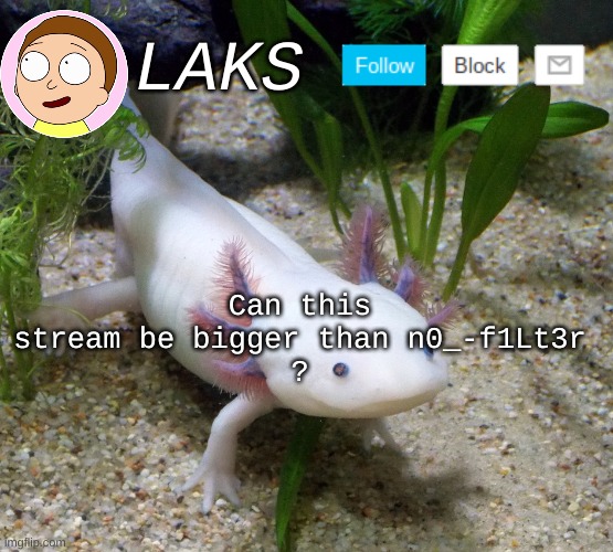 Lets try to make it | Can this stream be bigger than n0_-f1Lt3r
? | image tagged in laks axolotl template | made w/ Imgflip meme maker