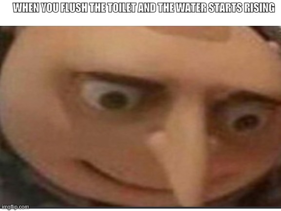 uh oh :o | WHEN YOU FLUSH THE TOILET AND THE WATER STARTS RISING | image tagged in gru meme | made w/ Imgflip meme maker