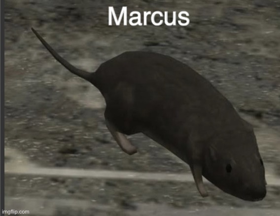 Marcus | made w/ Imgflip meme maker