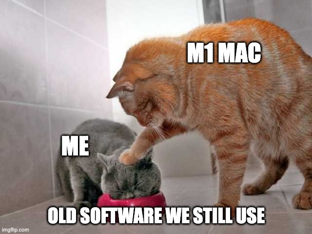 Cat shoving kitten into bowl | M1 MAC; ME; OLD SOFTWARE WE STILL USE | image tagged in cat shoving kitten into bowl | made w/ Imgflip meme maker