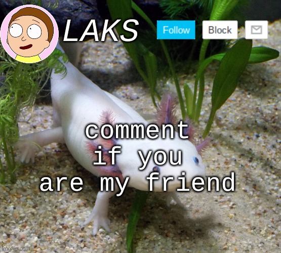 LAKS axolotl template | comment if you are my friend | image tagged in laks axolotl template | made w/ Imgflip meme maker