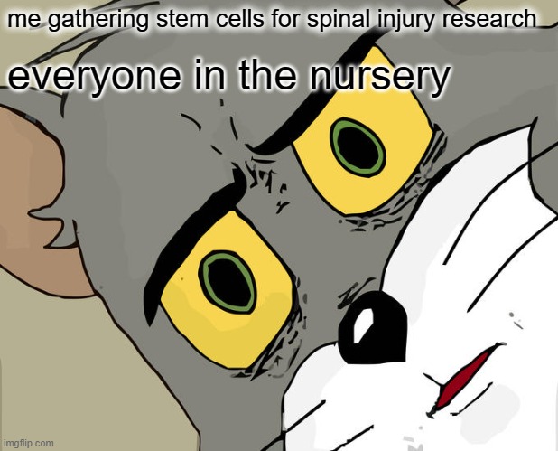 I am merely trying to help Christopher Reeves | me gathering stem cells for spinal injury research; everyone in the nursery | image tagged in memes,unsettled tom | made w/ Imgflip meme maker