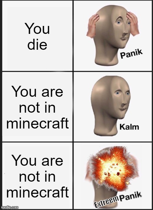 What | You die; You are not in minecraft; You are not in minecraft; Extreem | image tagged in memes,panik kalm panik | made w/ Imgflip meme maker