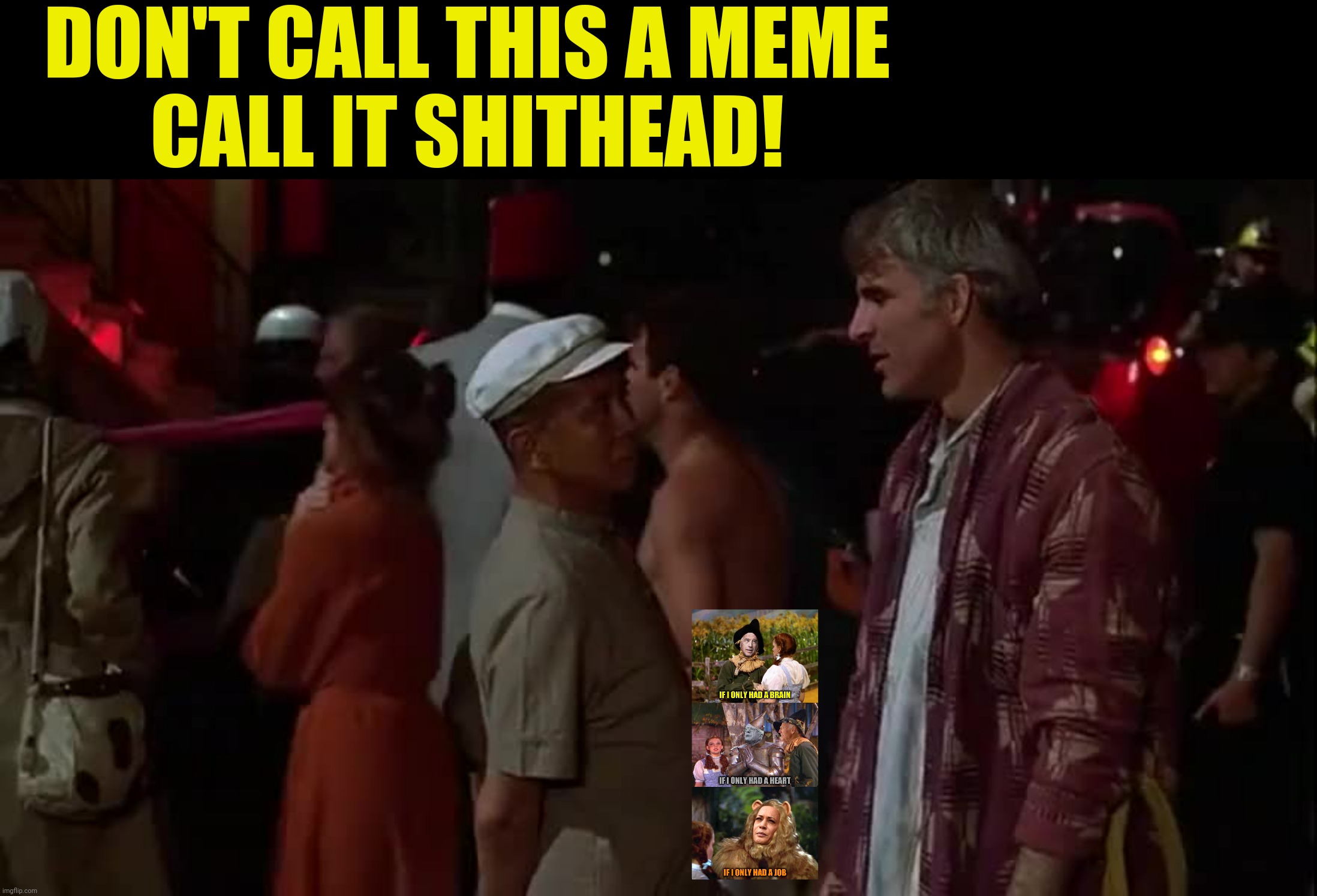 DON'T CALL THIS A MEME
CALL IT SHITHEAD! | made w/ Imgflip meme maker