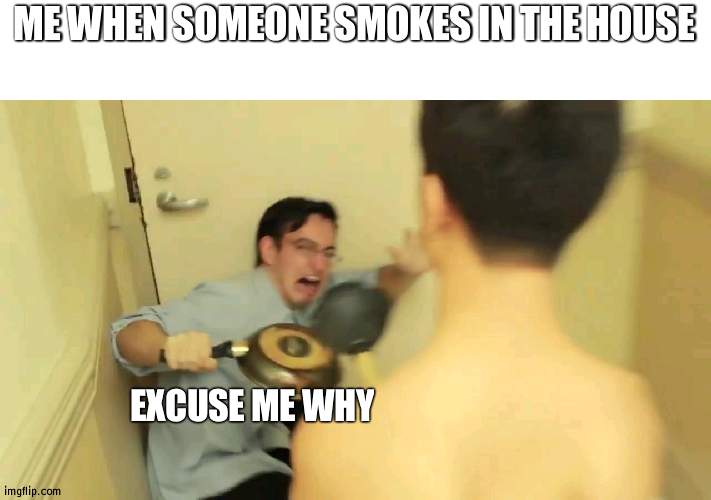 does anyone here relate | ME WHEN SOMEONE SMOKES IN THE HOUSE; EXCUSE ME WHY | image tagged in filthy frank screaming | made w/ Imgflip meme maker