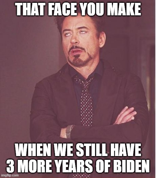 Aaand nobody really likes him anymore | THAT FACE YOU MAKE; WHEN WE STILL HAVE 3 MORE YEARS OF BIDEN | image tagged in memes,face you make robert downey jr,biden | made w/ Imgflip meme maker