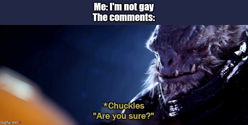 Are you sure | Me: I'm not gay
The comments: | image tagged in are you sure | made w/ Imgflip meme maker