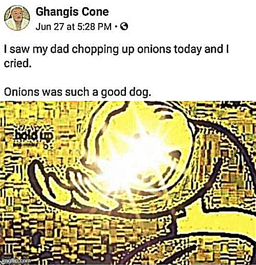 Hold up* | image tagged in onions,waz,such a,good,dog | made w/ Imgflip meme maker