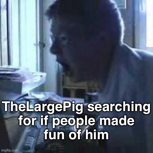 YEW CALLED ME A MEANIE FACE?!?!?! THAT WAS SO RUDE!!!!!!!! | TheLargePig searching
for if people made
fun of him | image tagged in angry german kid | made w/ Imgflip meme maker