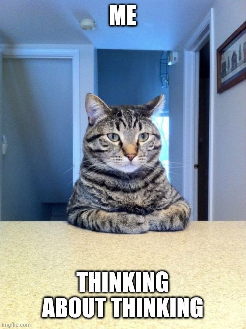 Thinking | ME; THINKING ABOUT THINKING | image tagged in memes,take a seat cat | made w/ Imgflip meme maker