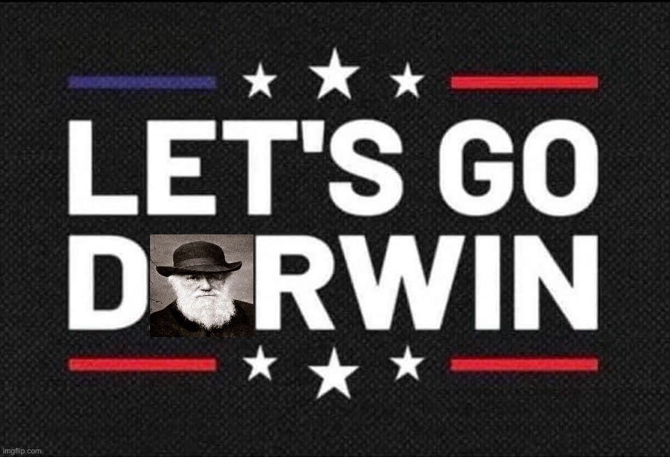 • Let’s Go Darwin • | image tagged in let s go darwin,lets,go,darwin,lets go,brandon | made w/ Imgflip meme maker