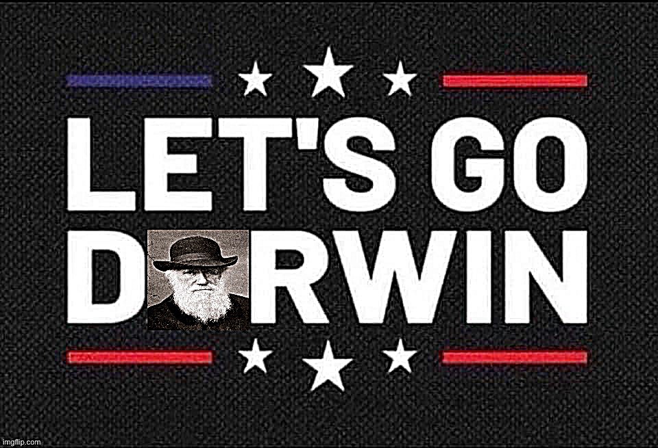Let’s go Darwin | image tagged in let s go darwin | made w/ Imgflip meme maker