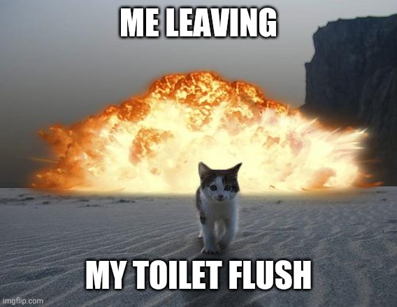 Toilet flush | ME LEAVING; MY TOILET FLUSH | image tagged in cat explosion | made w/ Imgflip meme maker