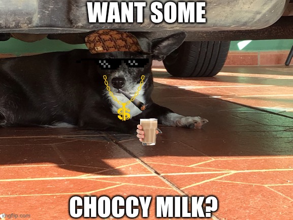 Want some Choccy milk? | WANT SOME; CHOCCY MILK? | image tagged in funny memes | made w/ Imgflip meme maker