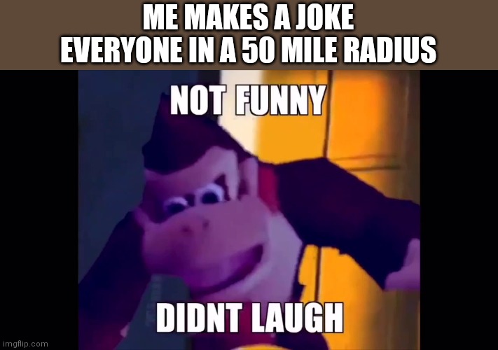 Not funny didn't laugh | ME MAKES A JOKE
EVERYONE IN A 50 MILE RADIUS | image tagged in not funny didn't laugh | made w/ Imgflip meme maker