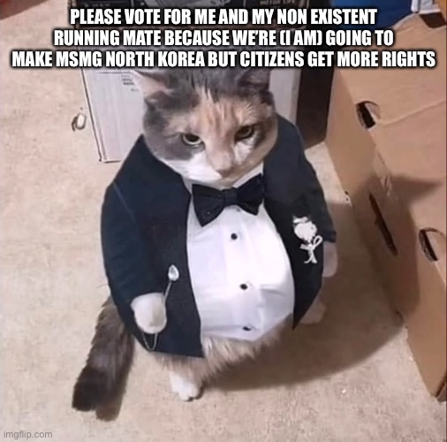 PLEASE VOTE FOR ME AND MY NON EXISTENT RUNNING MATE BECAUSE WE’RE (I AM) GOING TO MAKE MSMG NORTH KOREA BUT CITIZENS GET MORE RIGHTS | made w/ Imgflip meme maker