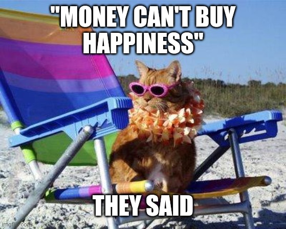 They said | "MONEY CAN'T BUY
HAPPINESS"; THEY SAID | image tagged in beach cat | made w/ Imgflip meme maker