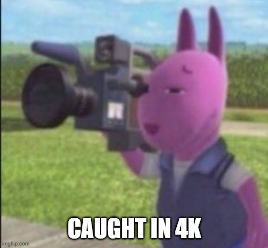 CAUGHT IN 4K | image tagged in caught in 4k | made w/ Imgflip meme maker