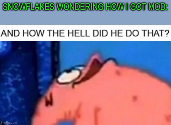 And how the hell did he do that? | SNOWFLAKES WONDERING HOW I GOT MOD: | image tagged in and how the hell did he do that | made w/ Imgflip meme maker