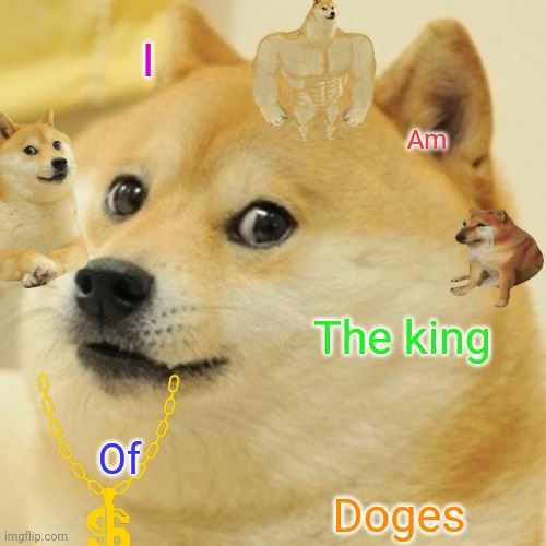 Doge Meme | I; Am; The king; Of; Doges | image tagged in memes,doge | made w/ Imgflip meme maker