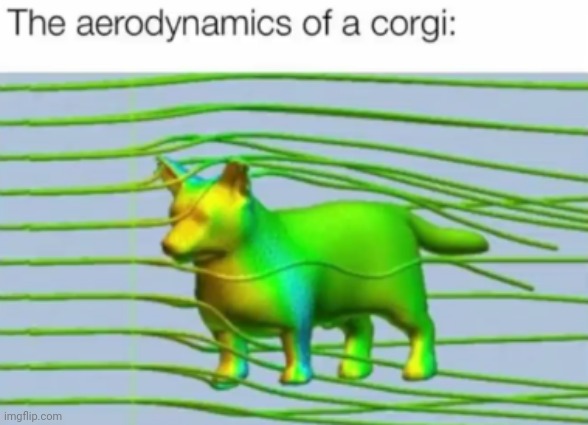 This dog do be thicc tho | image tagged in fuking shitpost | made w/ Imgflip meme maker