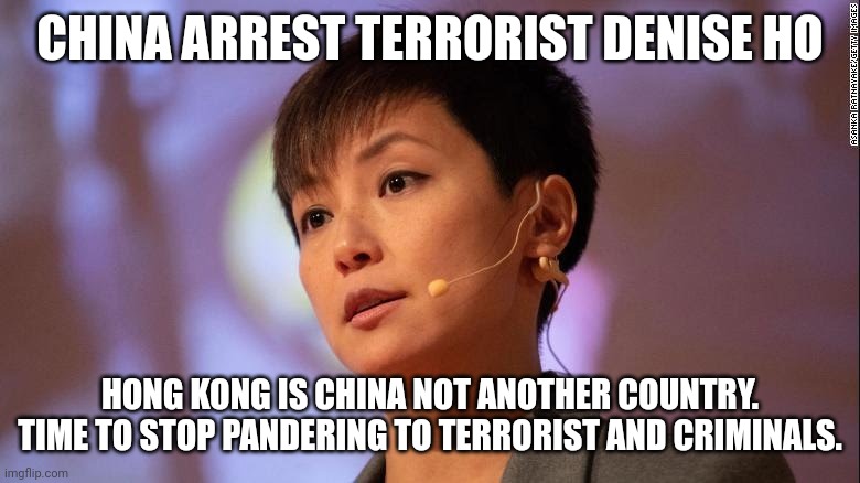 Terrorist aren't heroes. | CHINA ARREST TERRORIST DENISE HO; HONG KONG IS CHINA NOT ANOTHER COUNTRY. TIME TO STOP PANDERING TO TERRORIST AND CRIMINALS. | image tagged in hong kong,terrorist,idiots | made w/ Imgflip meme maker