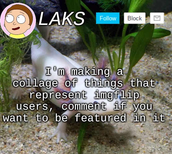 LAKS axolotl template | I'm making a collage of things that represent imgflip users, comment if you want to be featured in it | image tagged in laks axolotl template | made w/ Imgflip meme maker