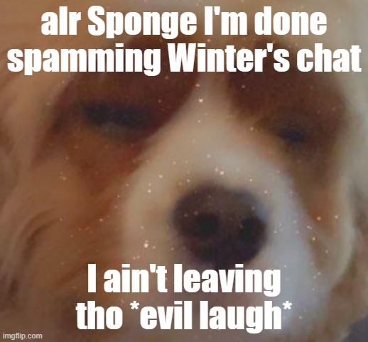 -nar | alr Sponge I'm done spamming Winter's chat; I ain't leaving tho *evil laugh* | image tagged in narwhal doge | made w/ Imgflip meme maker