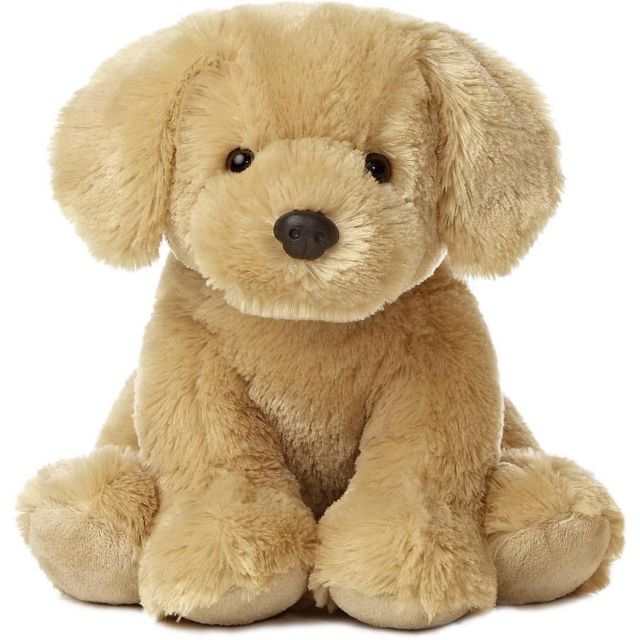 High Quality Golden Retriever Plushie Blank Meme Template