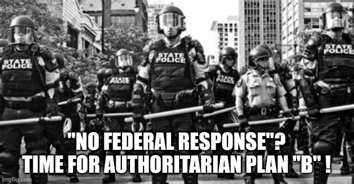 AUTHORITARIAN COVID PLAN "B" | "NO FEDERAL RESPONSE"?
TIME FOR AUTHORITARIAN PLAN "B" ! | image tagged in state police in formation,covid-19,covid vaccine,political memes,police,making plans | made w/ Imgflip meme maker