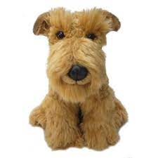 High Quality Airedale Plush Blank Meme Template