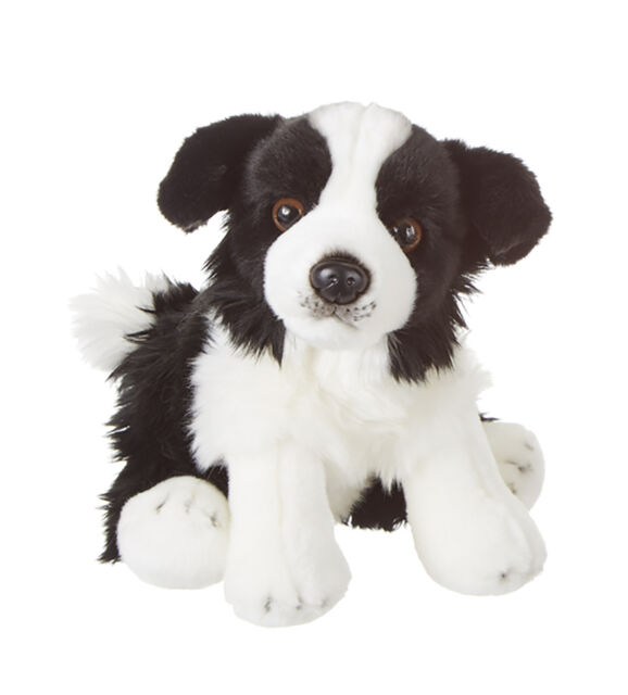 Plush Border Collie Front Blank Meme Template