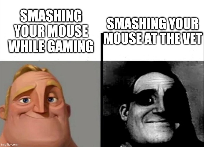 Teacher's Copy | SMASHING YOUR MOUSE AT THE VET; SMASHING YOUR MOUSE WHILE GAMING | image tagged in teacher's copy | made w/ Imgflip meme maker