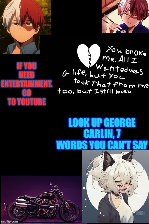 i love it so much | IF YOU NEED ENTERTAINMENT. GO TO YOUTUBE; LOOK UP GEORGE CARLIN, 7 WORDS YOU CAN'T SAY | image tagged in no | made w/ Imgflip meme maker