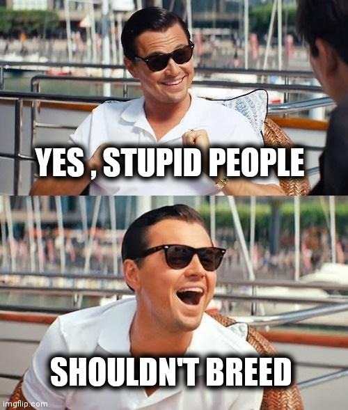 Leonardo Dicaprio Wolf Of Wall Street Meme | YES , STUPID PEOPLE SHOULDN'T BREED | image tagged in memes,leonardo dicaprio wolf of wall street | made w/ Imgflip meme maker