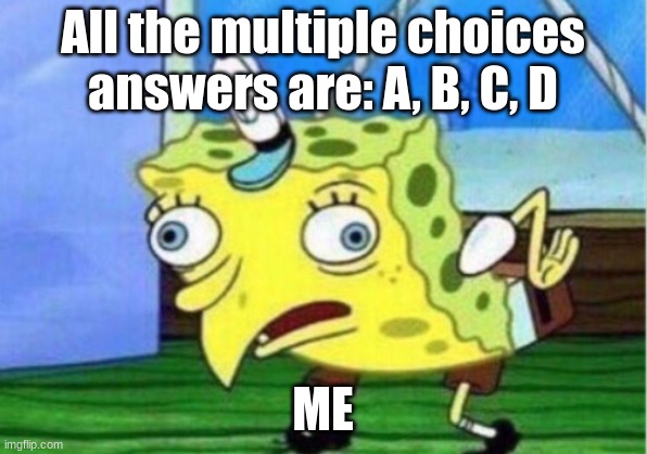 hold up | All the multiple choices answers are: A, B, C, D; ME | image tagged in memes,mocking spongebob | made w/ Imgflip meme maker