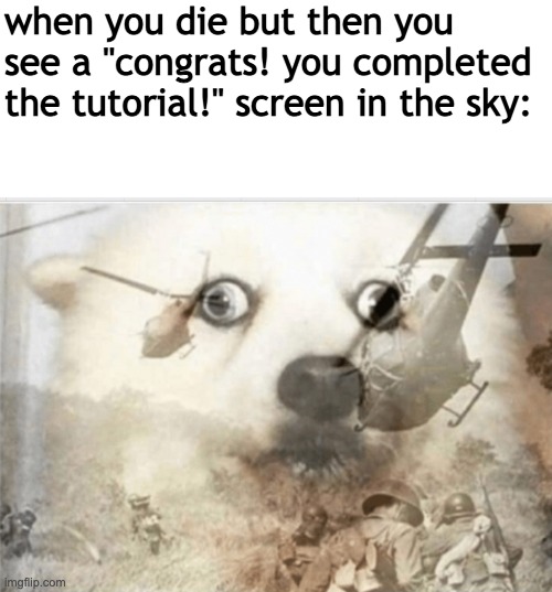 oh no |  when you die but then you see a "congrats! you completed the tutorial!" screen in the sky: | image tagged in ptsd dog,oh no,death,tutorial,send help | made w/ Imgflip meme maker