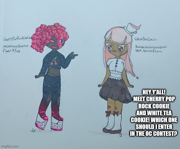 Also, feel free to ask questions about them! | HEY Y'ALL! MEET CHERRY POP ROCK COOKIE AND WHITE TEA COOKIE! WHICH ONE SHOULD I ENTER IN THE OC CONTEST? | made w/ Imgflip meme maker