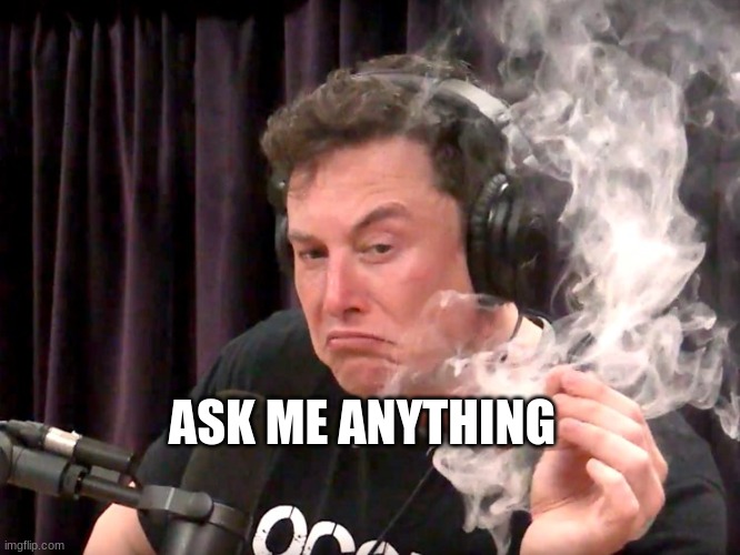 Elon Musk Weed | ASK ME ANYTHING | image tagged in elon musk weed | made w/ Imgflip meme maker