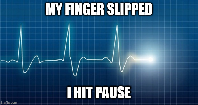 Pause | MY FINGER SLIPPED; I HIT PAUSE | image tagged in pause | made w/ Imgflip meme maker