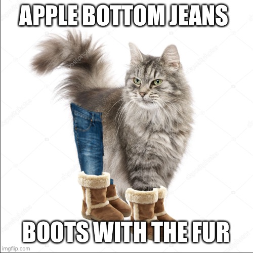 Apple Bottom Jean Cat | APPLE BOTTOM JEANS; BOOTS WITH THE FUR | image tagged in apple bottom jean cat | made w/ Imgflip meme maker