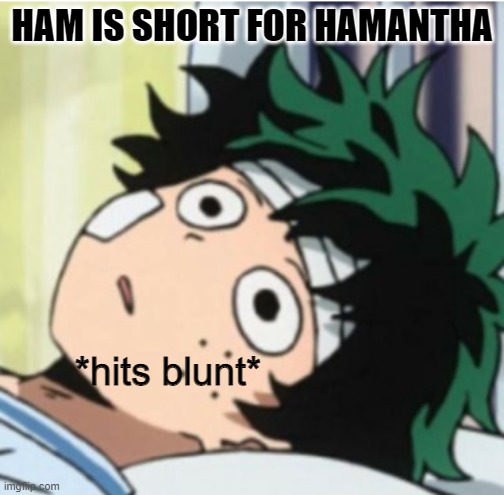 Hits blunt deku ver. | HAM IS SHORT FOR HAMANTHA | image tagged in hits blunt deku ver | made w/ Imgflip meme maker