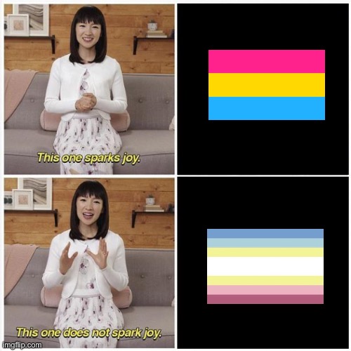 Marie Kondo Spark Joy | image tagged in marie kondo spark joy | made w/ Imgflip meme maker