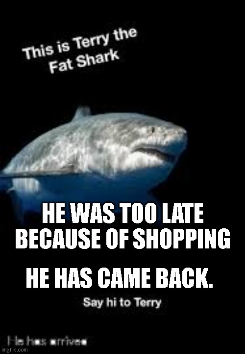 a | HE WAS TOO LATE BECAUSE OF SHOPPING; HE HAS CAME BACK. | image tagged in terry the fat shark | made w/ Imgflip meme maker